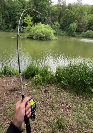 On entretient nos lieux de pêche !
